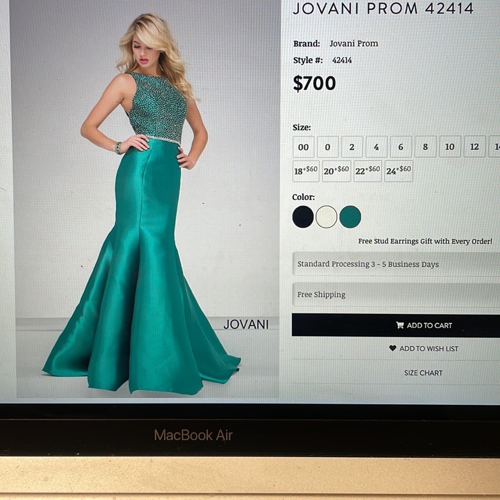 Like NEW Jovani Dress